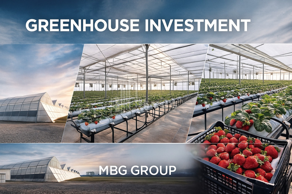 For Sale Land Marneuli Kvemo Kartli