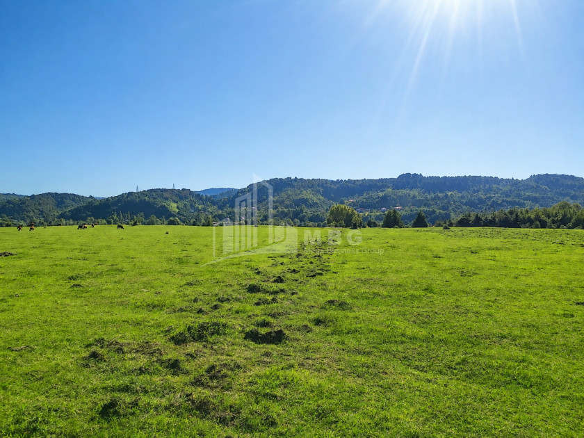 For Sale Orchards Land In Abasha