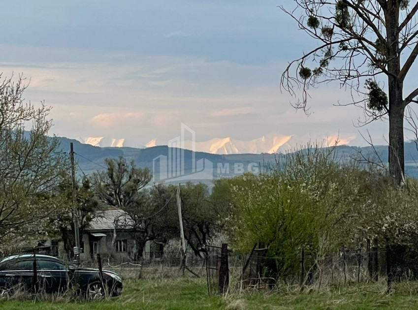 იყიდება მიწის ნაკვეთი ღულელები თიანეთი მცხეთა   მთიანეთი
