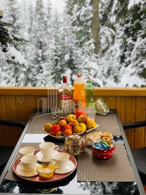 Daily Rent House - Villa, in Bakhmaro