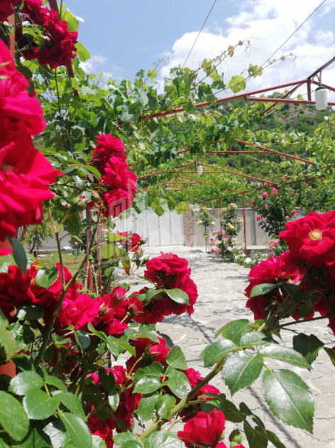 For Sale House - Villa, in Bulachauri