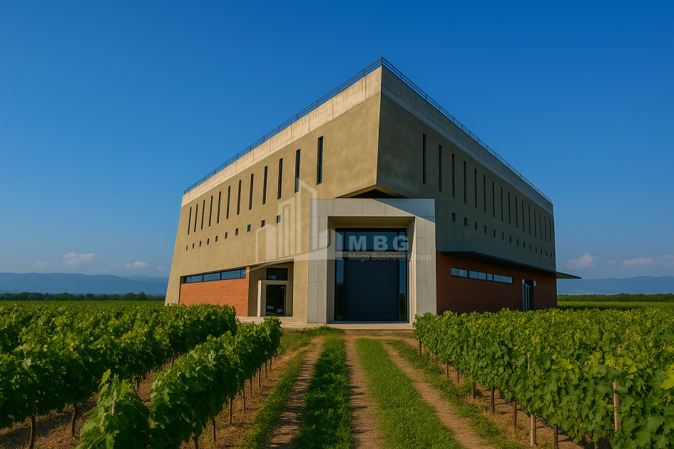 Продается Коммерческий Охио Ахмета Кахети