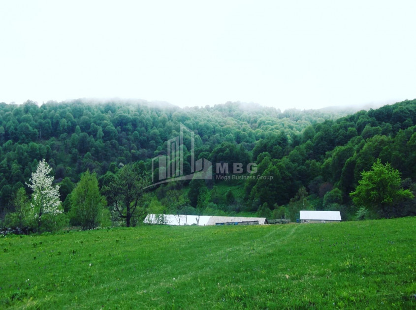 For Sale Agricultural Land, in Tsikhisjvari