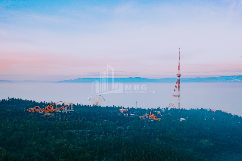 For Sale House - Villa, in Shindisi