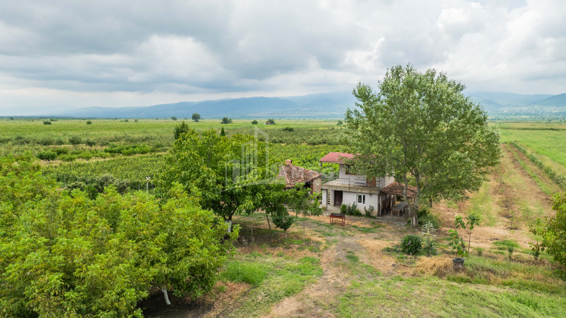 For Sale Land Kakheti