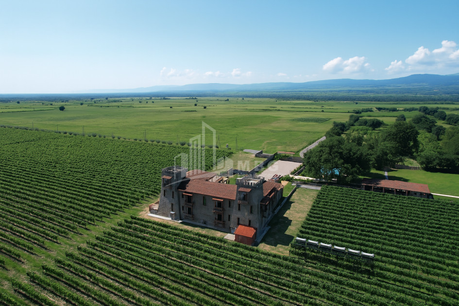For Sale Commercial Kvareli City Kvareli Kakheti
