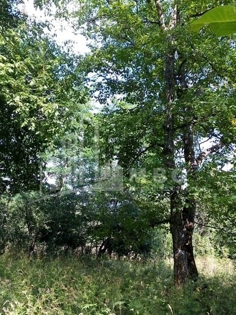 For Sale Country Land, in Zaridzes