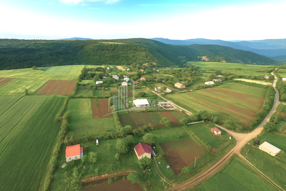 For Sale Land Dusheti Mtskheta   Mtianeti