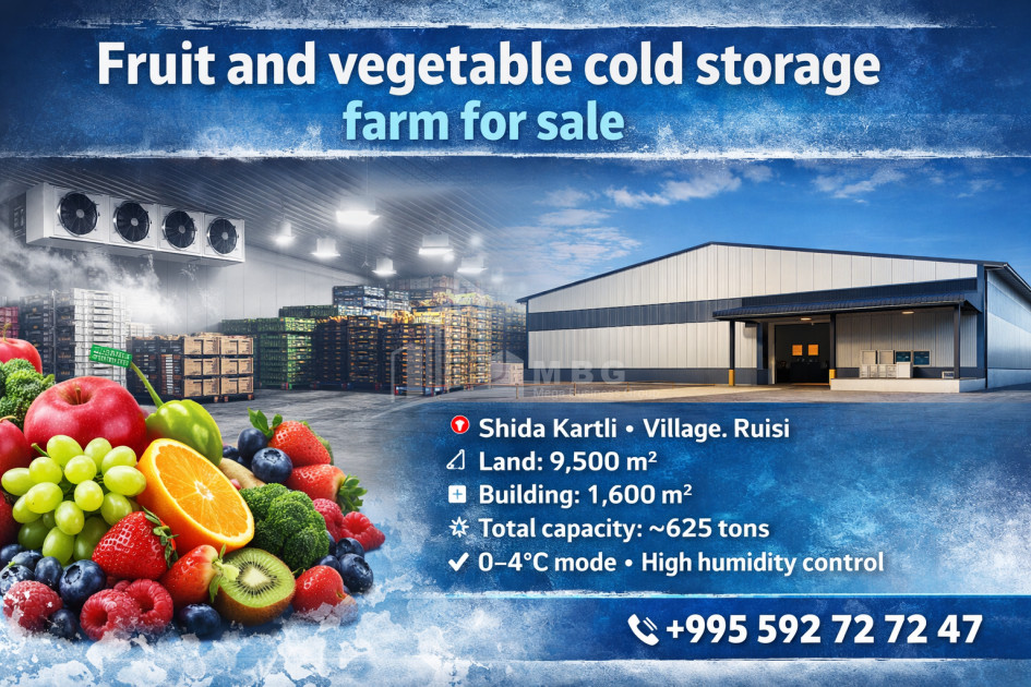 For Sale Refrigerator-freezer area Commercial In Ruisi, Kareli