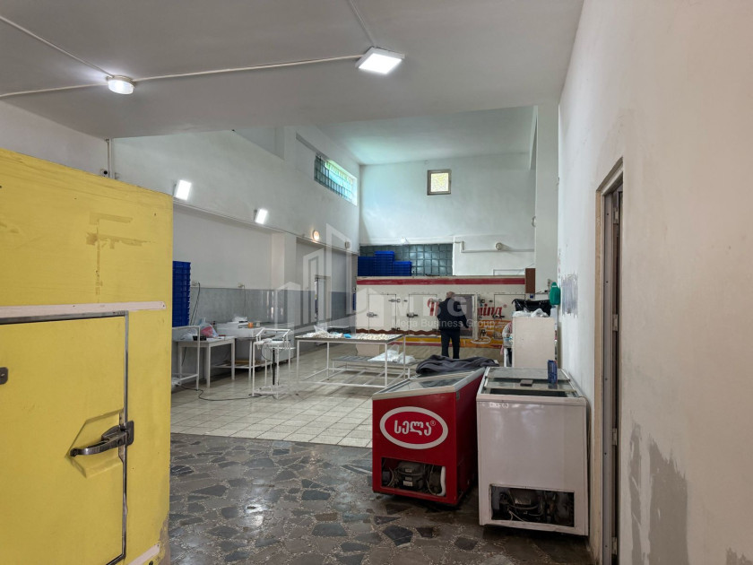 Business for sale Commercial Kvemo Ponichala Krtsanisi District Tbilisi