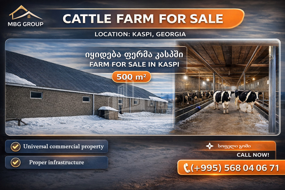 For Sale Commercial Metekhi Kaspi Shida Kartli