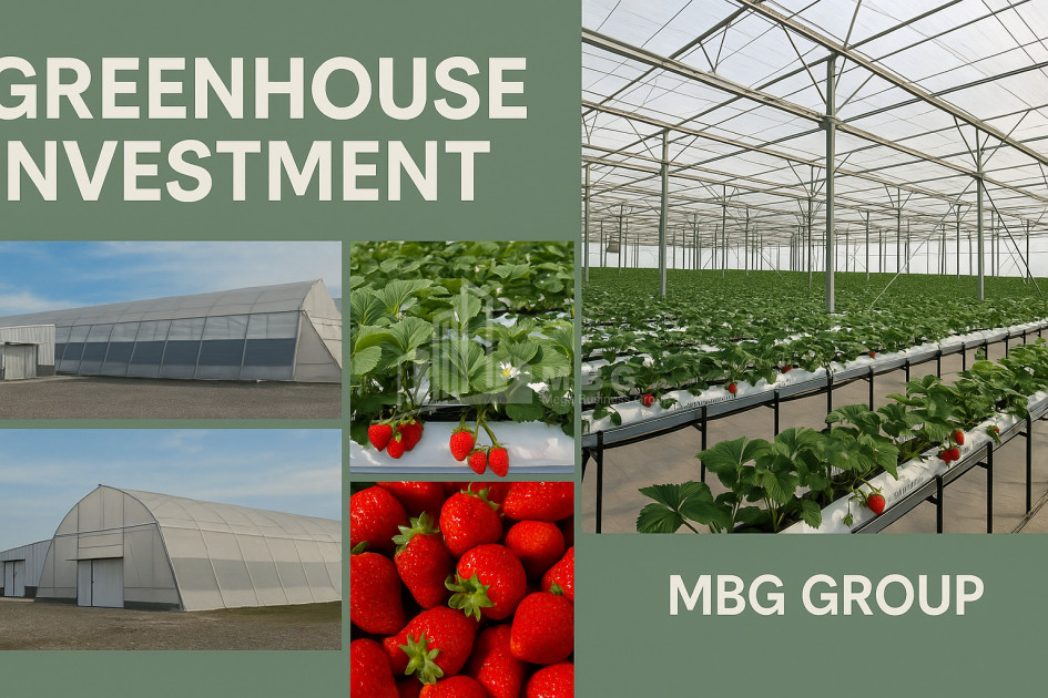 For Sale Land Marneuli Kvemo Kartli