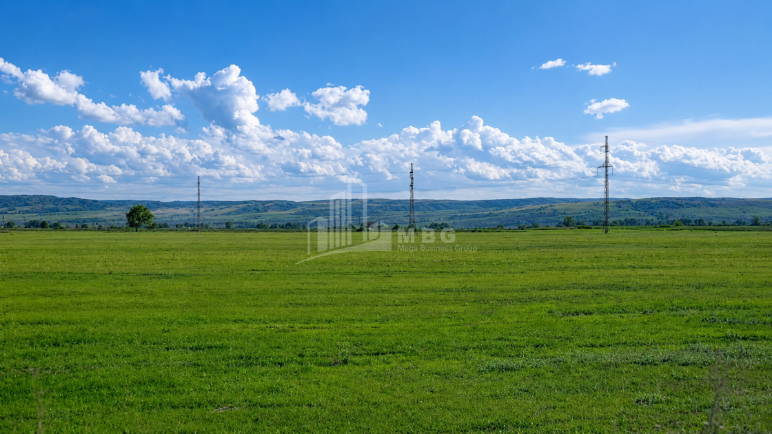 For Sale Vineyard - Chateau Land In Manavi, Sagarejo