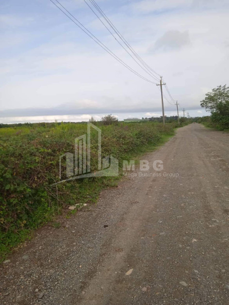For Sale Land, Kvemo Natanebi, Ozurgeti Municipality, Municipalities of Guria