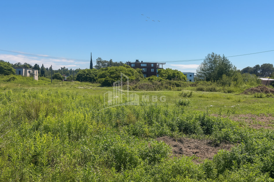 For Sale Land Daba Shekvetili Ozurgeti Municipalities of Guria