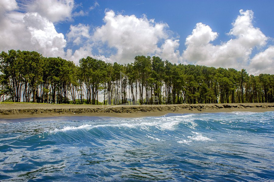 For Sale Country Land, in Daba Shekvetili