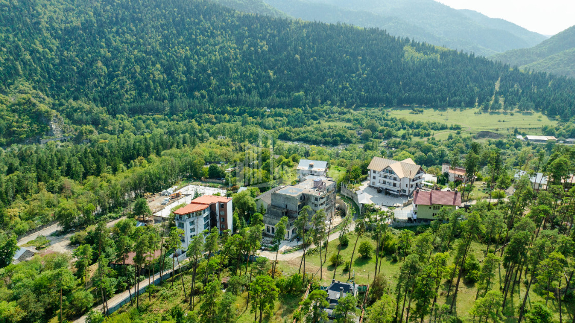 For Sale Commercial Likani Borjomi Samtskhe   Javakheti