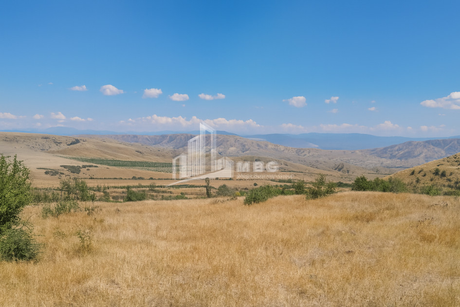 For Sale Land Telatgori Kaspi Shida Kartli
