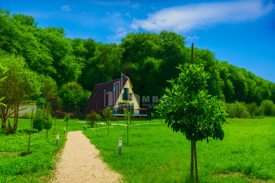 For Sale House Villa Tskhvarichamia Mtskheta Mtskheta   Mtianeti