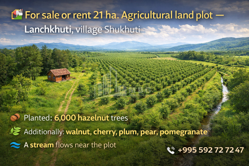 For Sale Land Kvemo Shukhuti Lanchkhuti Municipalities of Guria