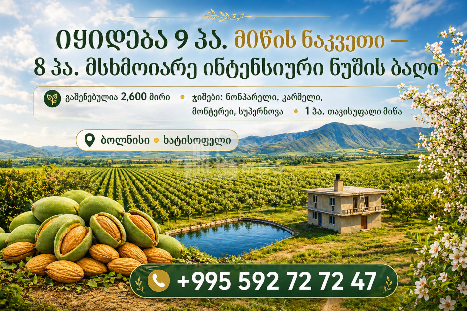 Продается Фруктовые сад Земля В Болниси