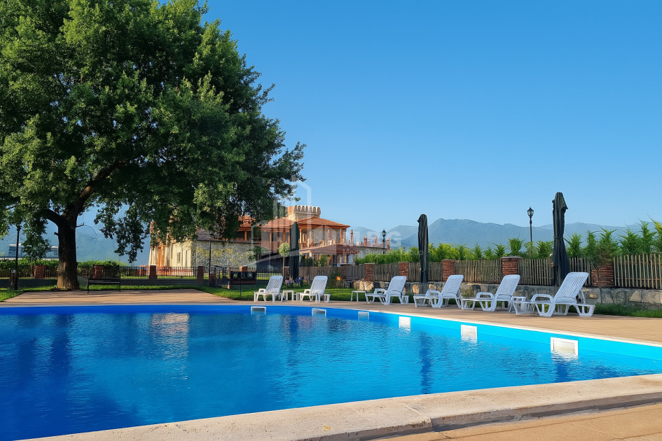 For Sale Commercial Kvareli City Kvareli Kakheti