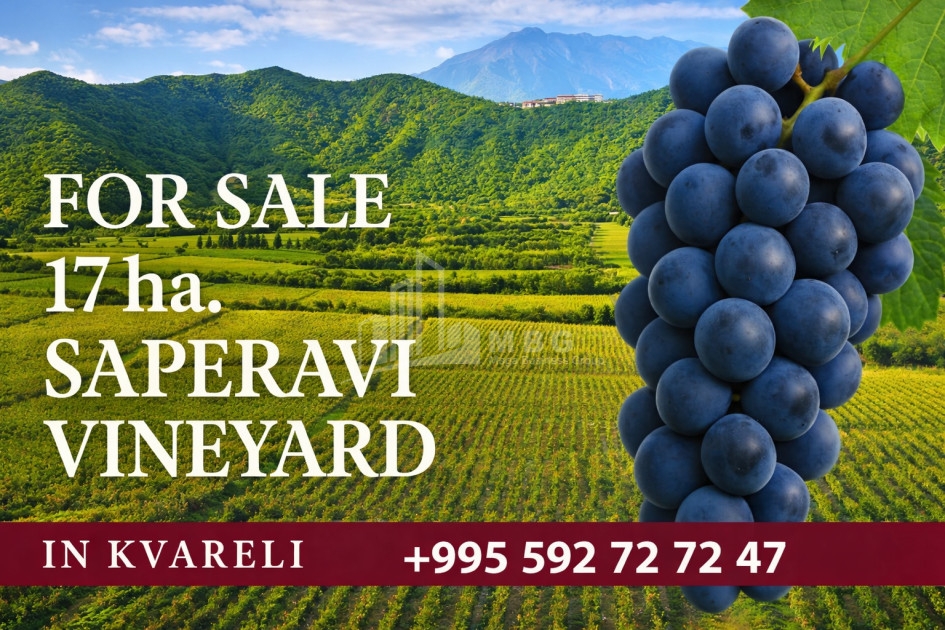 For-Sale-Land-Kvareli-Kakheti