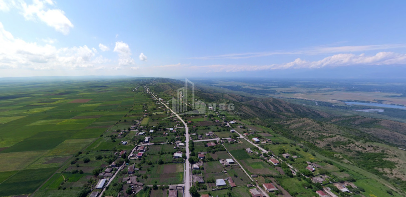 For Sale Land Samtatskaro Dedoplistskaro Kakheti