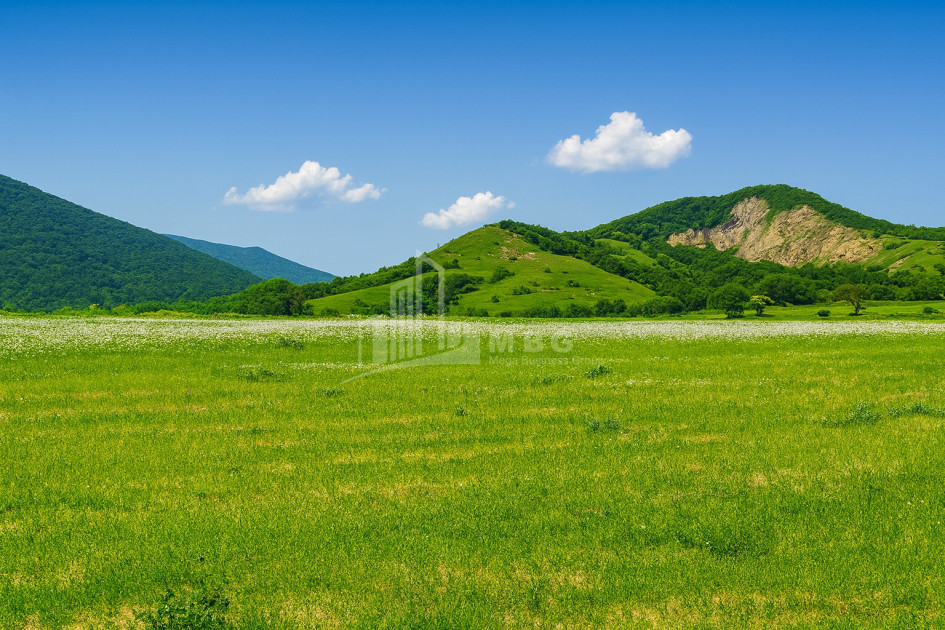 Продается Земля Гомбори Сагареджо Кахети