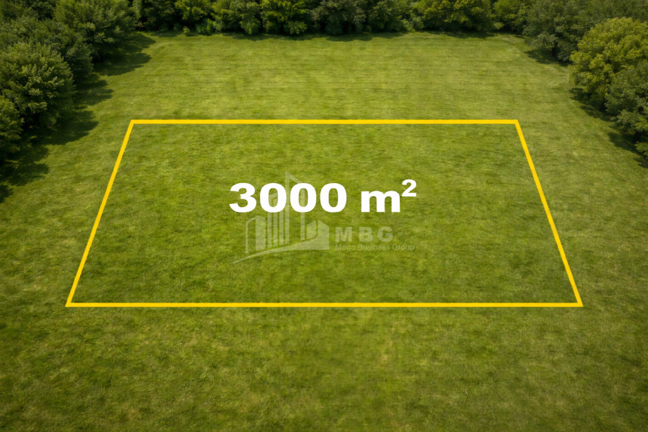 იყიდება სახნავ - სათესი მიწის ნაკვეთი დაბა შეკვეთილში, ოზურგეთი