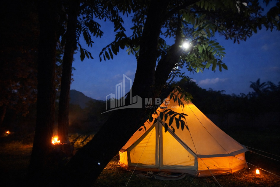 Business for sale Commercial Telavi Kakheti