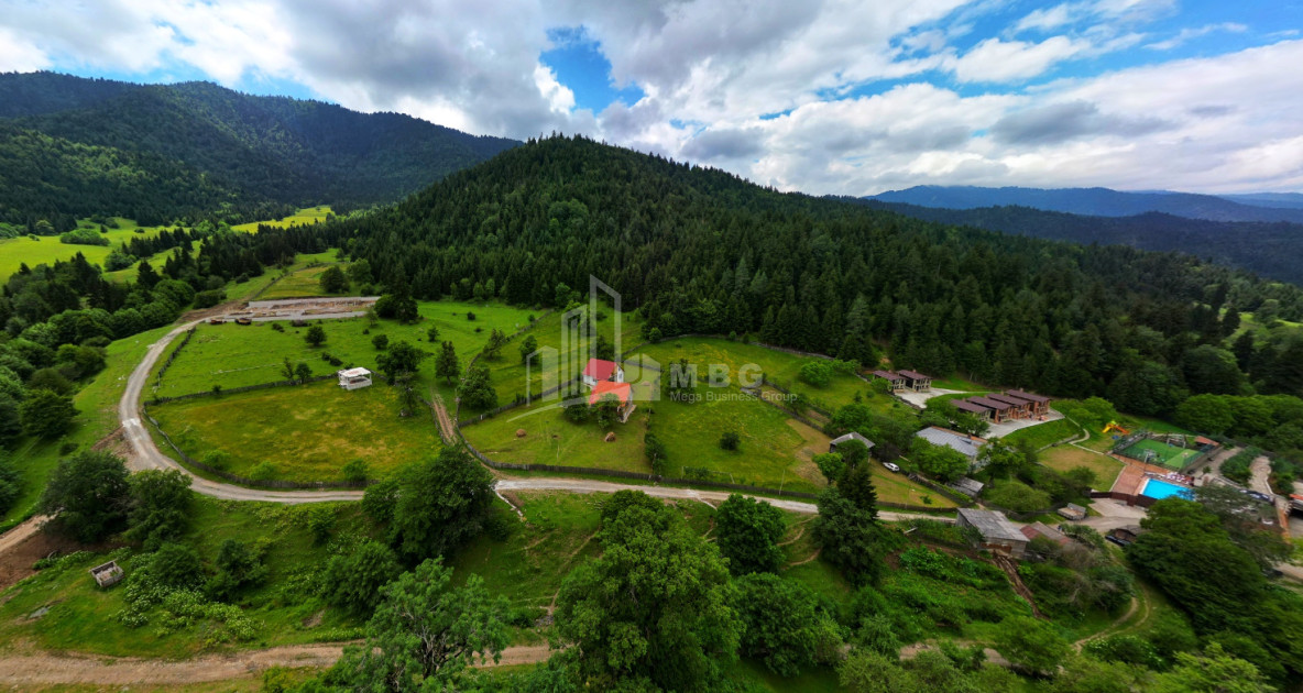 For Sale Country Land In on the Sun., Borjomi