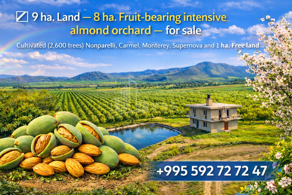 Продается Фруктовые сад Земля В Болниси