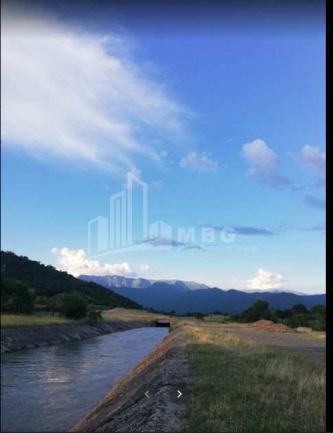 For Sale Vineyard - Chateau Land, in Matani