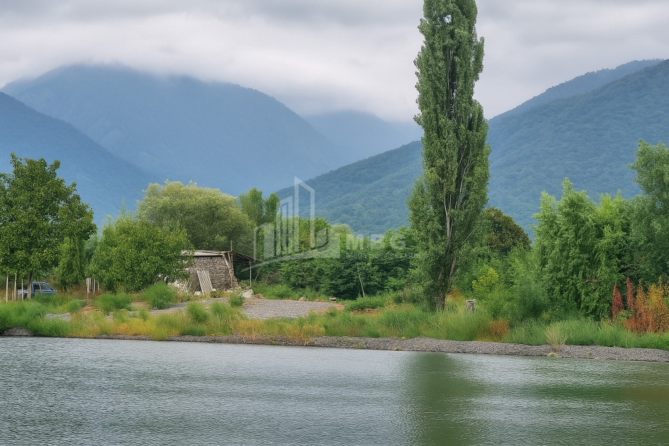 იყიდება მიწის ნაკვეთი ნაფარეული თელავი კახეთი