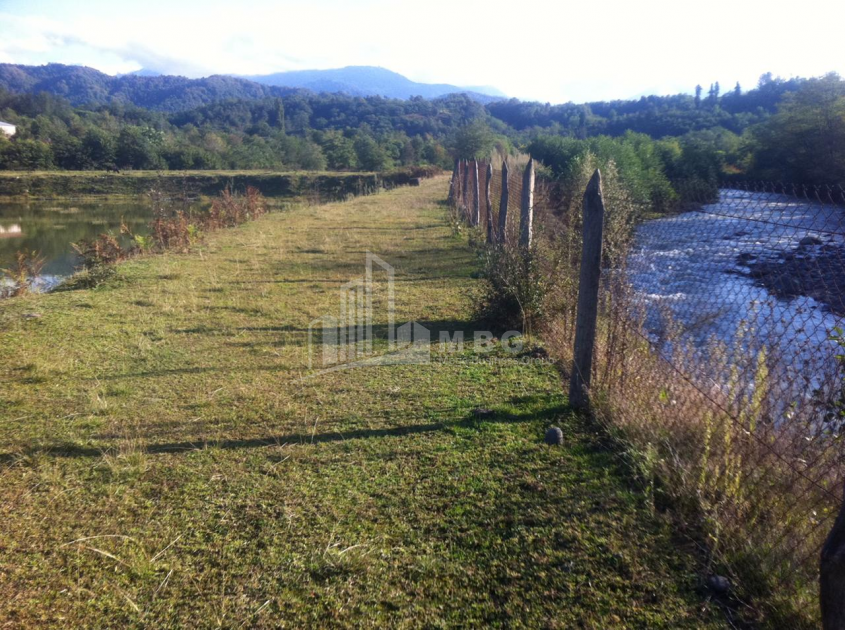 For Sale Land, Zeda Bakhvi, Ozurgeti Municipality, Municipalities of Guria