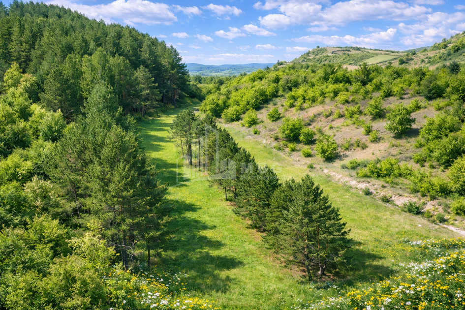 For Sale Land Daba Surami Khashuri Shida Kartli