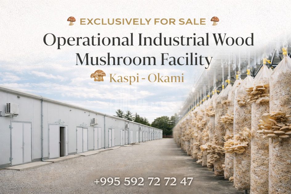 Продается Коммерческий Оками Каспси Шида Картли