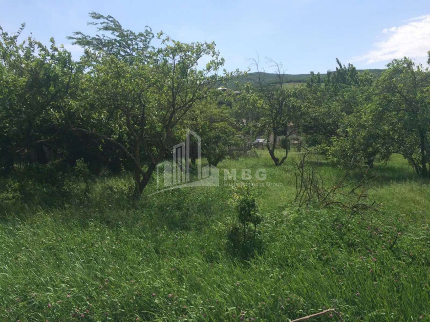 For Sale Land, Igoeti, Kaspi Municipality, Municipalities of Shida Kartli