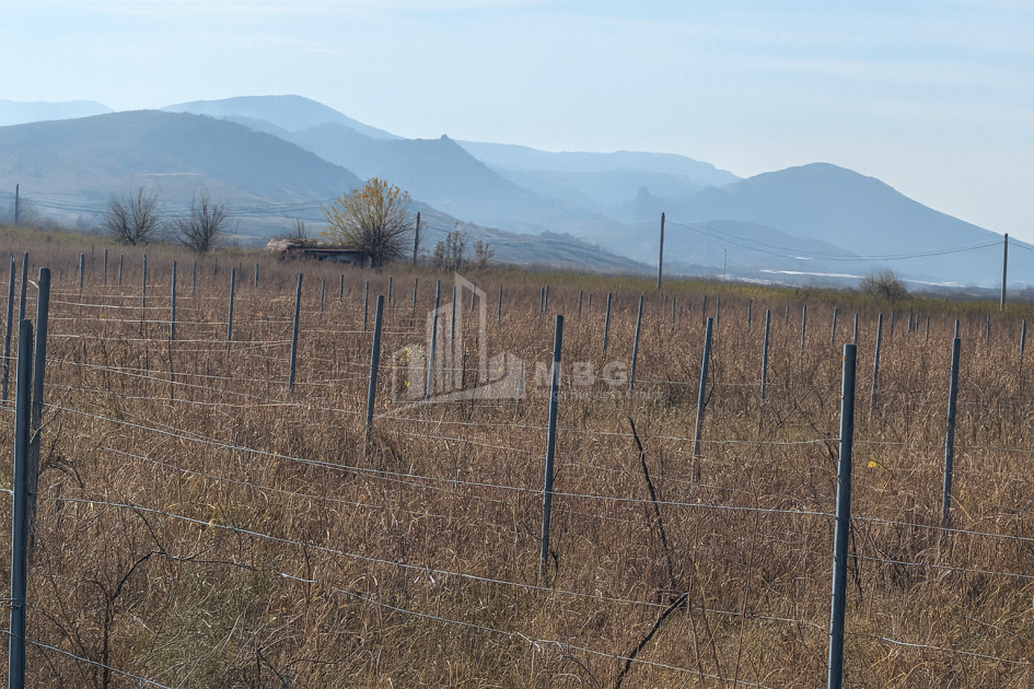 იყიდება მიწის ნაკვეთი სოფელი შაუმიანი მარნეული ქვემო ქართლი