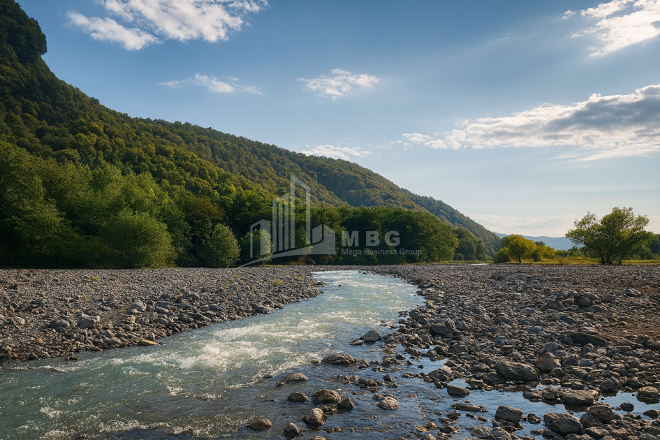 იყიდება ბიზნესი კომერციული ფართი თელავი კახეთი