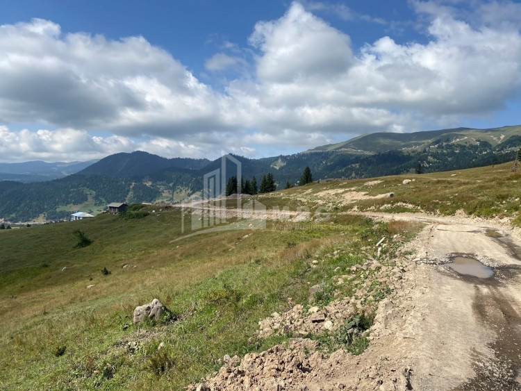 For Sale Country Land, in Khulo