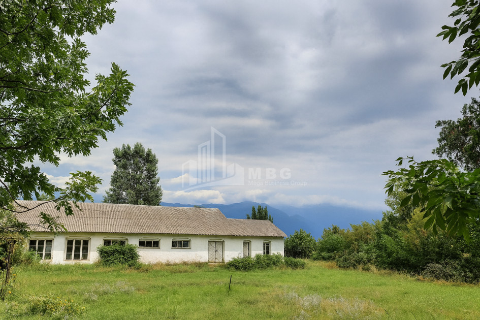 იყიდება კომერციული ფართი თელავი კახეთი