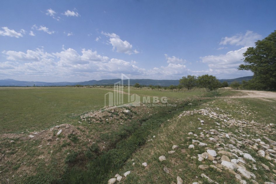For Sale Vineyard - Chateau Land In Manavi, Sagarejo