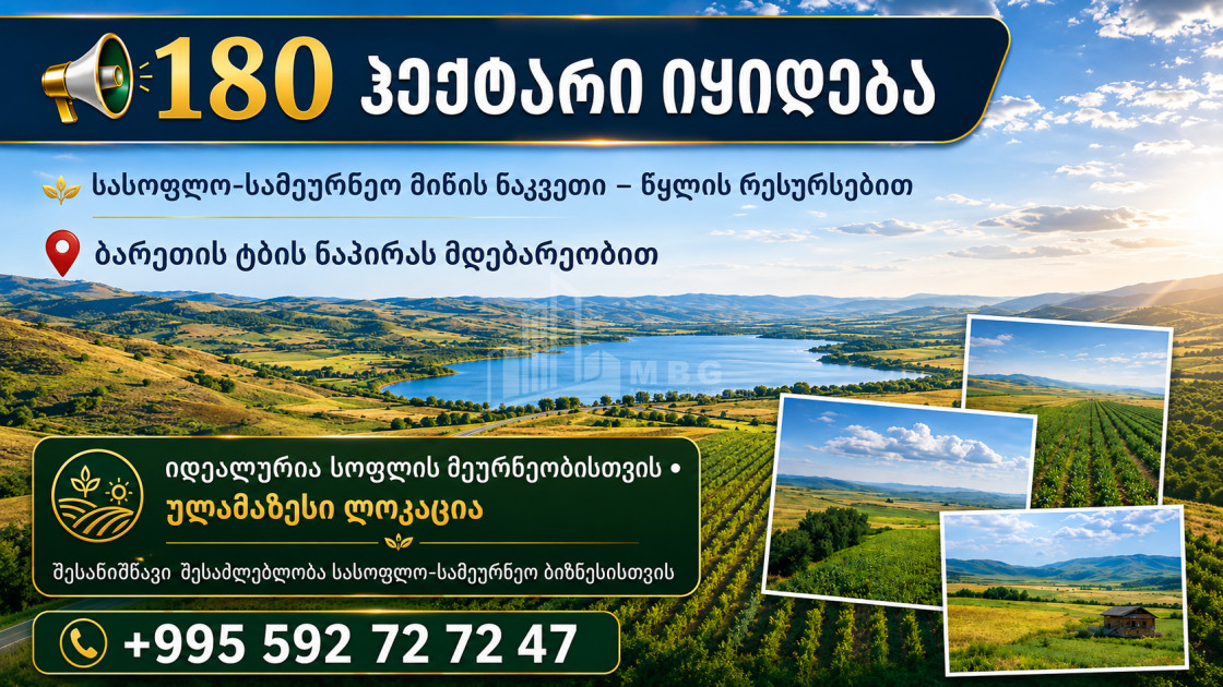 For Sale Agricultural Land In Tsalka