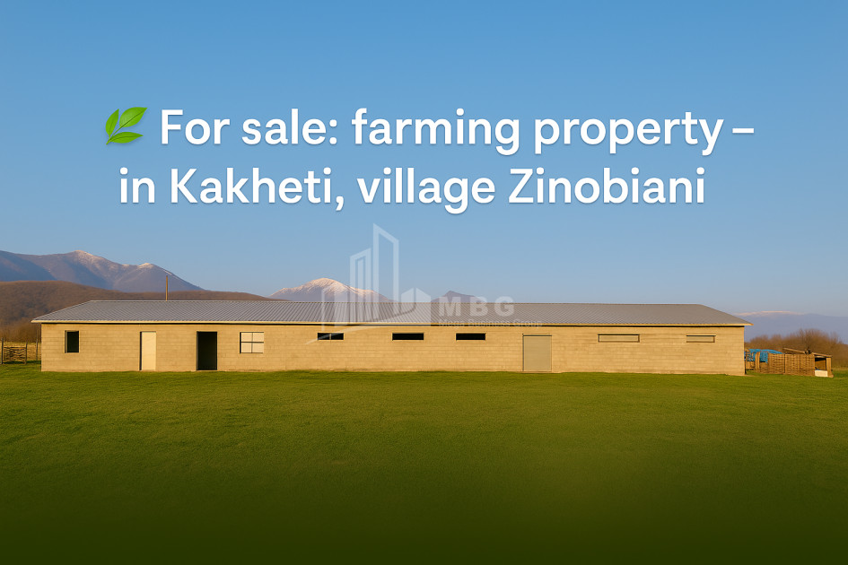 Продается Земля Зинобиани Кварели Кахети