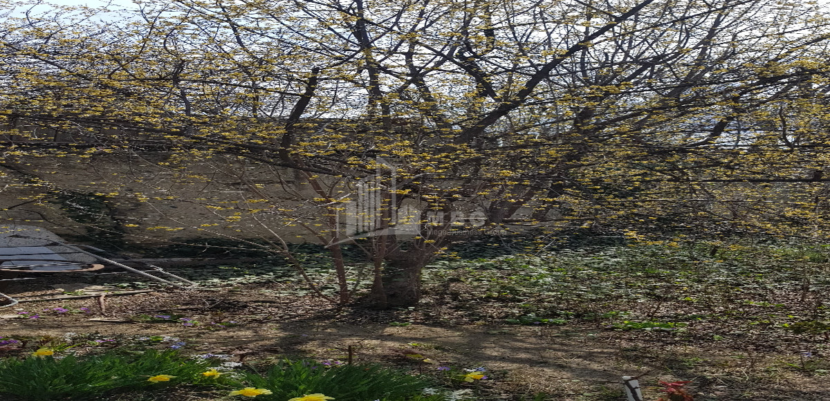 იყიდება სამოსახლო მიწის ნაკვეთი, სვანეთის უბანი