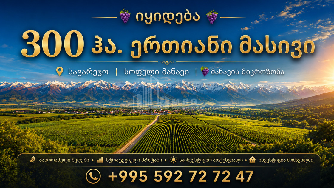 For Sale Vineyard - Chateau Land In Manavi, Sagarejo
