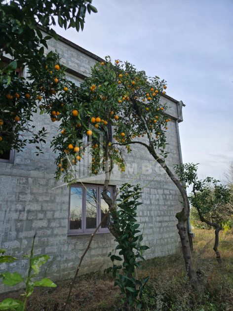 იყიდება ძველი აშენებული სახლი - აგარაკი ზემო ნატანებში, ოზურგეთი
