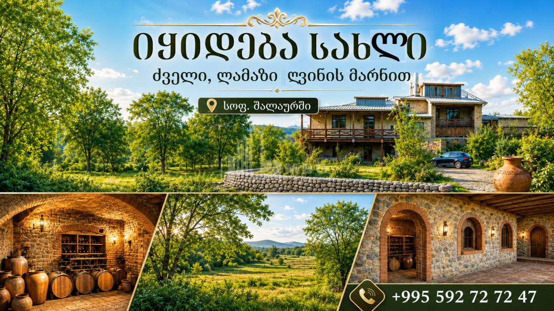 For Sale Old building House - Villa In Shalauri, Telavi
